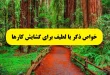 -و-فضیلت-ذکر-یا-لطیف-برای-گشایش-کار-و-آسان-شدن-کارها-110x75 خواص و فضیلت ذکر یا لطیف برای گشایش کار و آسان شدن کارها  