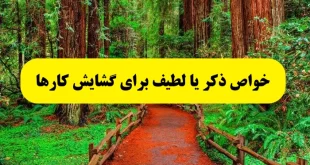 خواص-و-فضیلت-ذکر-یا-لطیف-برای-گشایش-کار-و-آسان-شدن-کارها-310x165 خواص و فضیلت ذکر یا لطیف برای گشایش کار و آسان شدن کارها  