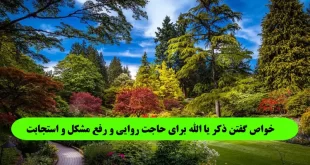 خواص-گفتن-ذکر-یا-الله-برای-حاجت-روایی-و-رفع-مشکل-و-استجابت-دعا-310x165 خواص گفتن ذکر یا الله برای حاجت روایی و رفع مشکل و استجابت دعا  