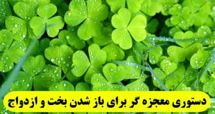 -معجزه-گر-برای-باز-شدن-بخت-و-گشایش-بخت-و-ازدواج-دختران-310x165 دستوری معجزه گر برای باز شدن بخت و گشایش بخت و ازدواج دختران  