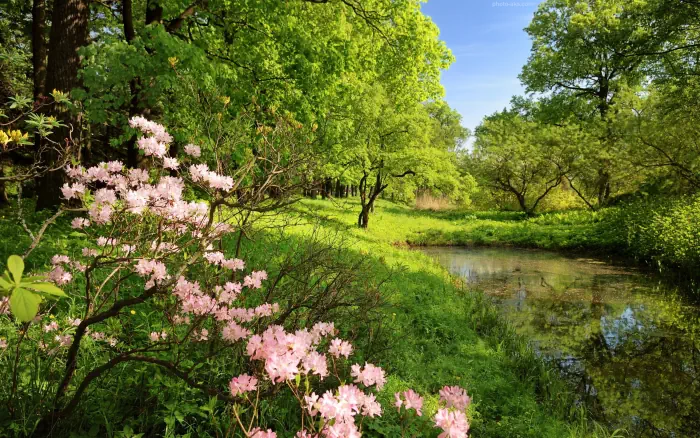 دعای-مجرب-ایمنی-از-شر-ساحران-و-جادوگران-و-سحر-و-جادو-و-طلسم دعای مجرب ایمنی از شر ساحران و جادوگران و سحر و جادو و طلسم  