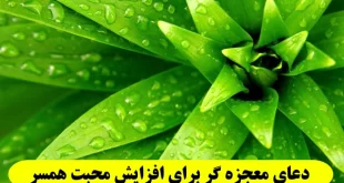 دعای-معجزه-گر-برای-افزایش-محبت-همسر-و-حرف-شنوی-همسر-310x165 دعای معجزه گر برای افزایش محبت همسر و حرف شنوی همسر  