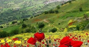 ذکر-مجرب-برای-رفع-درد-و-گرفتگی-رگ-های-قلب-سریع-الاجابه-و-تضمینی-310x165 ذکر مجرب برای رفع درد و گرفتگی رگ های قلب سریع الاجابه و تضمینی  