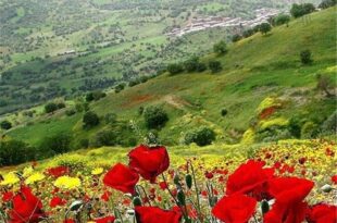ذکر-مجرب-برای-رفع-درد-و-گرفتگی-رگ-های-قلب-سریع-الاجابه-و-تضمینی-310x205 ذکر مجرب برای رفع درد و گرفتگی رگ های قلب سریع الاجابه و تضمینی  