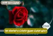 برای-اجابت-سریع-حاجات-و-خواسته-ها-این-دعا-را-بخوانید-معجزه-می-کند-110x75 برای اجابت سریع حاجات و خواسته ها این دعا را بخوانید معجزه می کند  