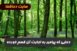 دعایی-که-پیامبر-به-اجابت-آن-قسم-خورده-این-دعا-معجزه-می-کند-310x205 دعایی که پیامبر به اجابت آن قسم خورده | این دعا معجزه می کند  