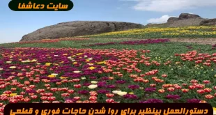 دستورالعمل-بینظیر-برای-روا-شدن-حاجات-فوری-و-قطعی-از-امام-سجاد-ع-310x165 دستورالعمل بینظیر برای روا شدن حاجات فوری و قطعی از امام سجاد (ع)  