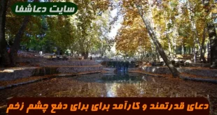 دعای-قدتمند-و-کارآمد-برای-برای-دفع-چشم-زخم-و-ابطال-چشم-زخم-و-دفع-نظر-بد-1-310x165 دعای قدرتمند و کارآمد برای برای دفع چشم زخم و ابطال چشم زخم و دفع نظر بد  