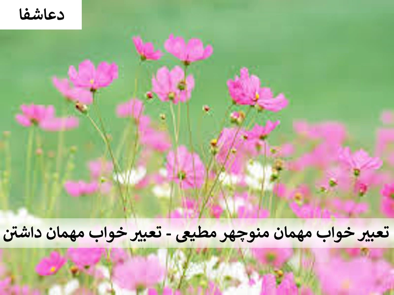 تعبیر خواب مهمان منوچهر مطیعی - تعبیر خواب مهمان داشتن مهمان تعبیر خواب مهمان منوچهر مطیعی - تعبیر خواب مهمان داشتن