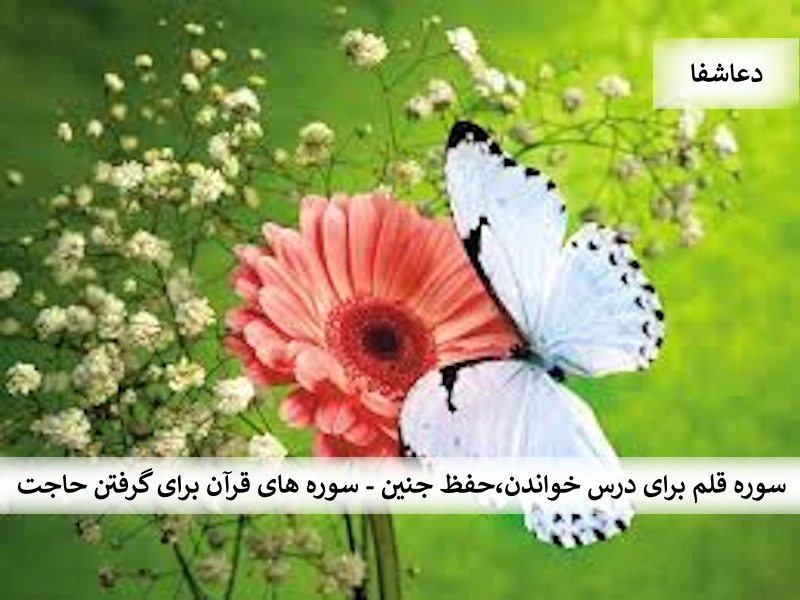 حاجت7 سوره قلم برای درس خواندن، حفظ جنین - سوره های قرآن برای گرفتن حاجت  