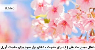 صبح1-310x165 دعای صبح امام علی (ع) برای حاجت - دعای اول صبح برای حاجت فوری  