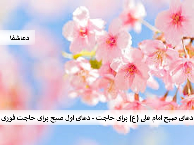 صبح1 دعای صبح امام علی (ع) برای حاجت - دعای اول صبح برای حاجت فوری  