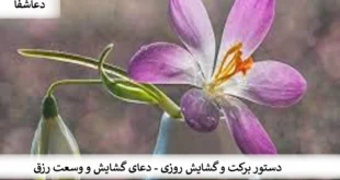 رزق-310x165 دستور برکت و گشایش روزی - دعای گشایش و وسعت رزق   