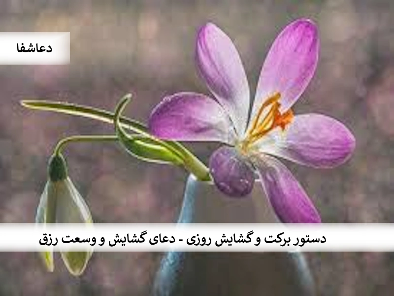 رزق دستور برکت و گشایش روزی - دعای گشایش و وسعت رزق   