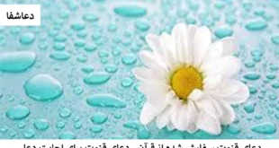 قنوت-310x165 دعای قنوت سفارش شده از قرآن - دعای قنوت برای اجابت دعا  
