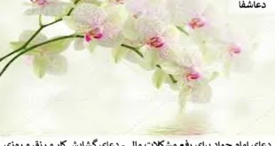 کارر-310x165 دعای امام جواد برای رفع مشکلات مالی - دعای گشایش کار و رزق و روزی  