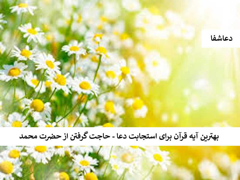 محمد بهترین آیه قرآن برای استجابت دعا - حاجت گرفتن از حضرت محمد  