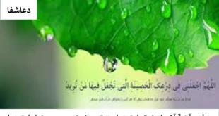 عیسی-310x165 بهترین آیه قرآن برای استجابت دعا - دعای حضرت عیسی جهت اجابت دعا  