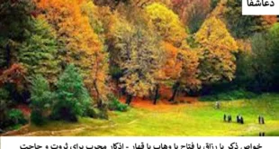 ذکر1-310x165 خواص ذکر یا رزاق یا فتاح یا وهاب یا قهار - اذکار مجرب برای ثروت و حاجت  