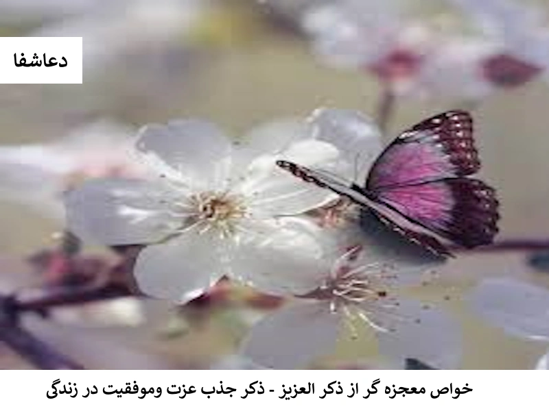 عزیز1 خواص معجزه گر از ذکر العزیز - ذکر جذب عزت و موفقیت در زندگی  