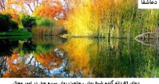 گندم-310x165 دعای ۴۱ دانه گندم شیخ بهایی - حاجت روایی سریع حتی در امور محال  