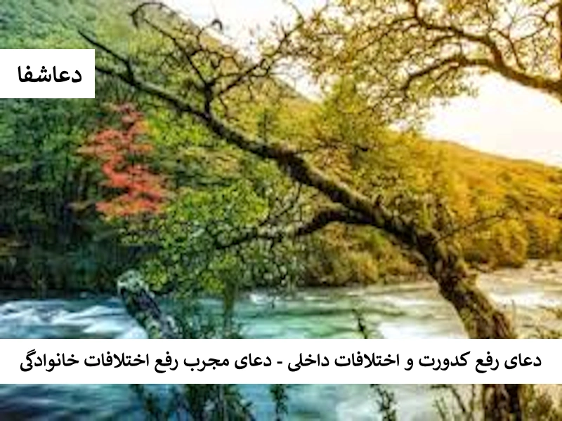 دعای رفع کدورت و اختلافات داخلی - دعای مجرب رفع اختلافات خانوادگی دعوا1 دعای رفع کدورت و اختلافات داخلی - دعای مجرب رفع اختلافات خانوادگی