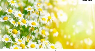 فقر-310x165 ذکر برای رفع فقر و تنگدستی - دعای رفع فقر و ادای قرض  