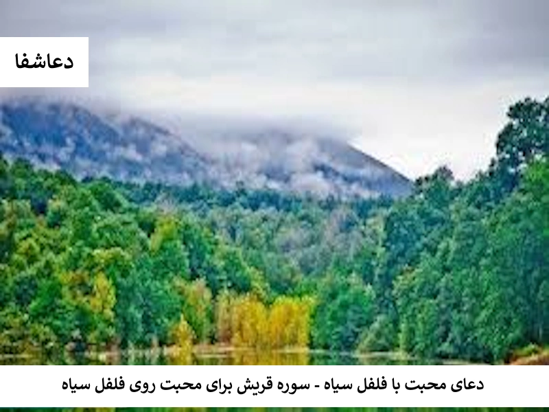 دعای محبت با فلفل سیاه - سوره قریش برای محبت روی فلفل سیاه فلفل دعای محبت با فلفل سیاه - سوره قریش برای محبت روی فلفل سیاه