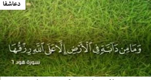 مغازه3-310x165 سوره های قرآن برای جذب مشتری -  آیات مجرب برای برکت مغازه  