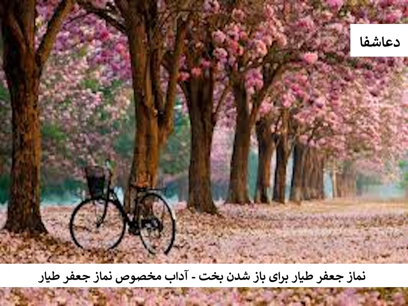 نماز جعفر طیار برای باز شدن بخت - آداب مخصوص نماز جعفر طیّار جعفر نماز جعفر طیار برای باز شدن بخت - آداب مخصوص نماز جعفر طیّار