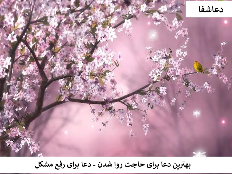 بهترین دعا برای حاجت روا شدن - دعا برای رفع مشکل حاجت3 بهترین دعا برای حاجت روا شدن - دعا برای رفع مشکل