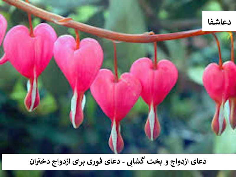 دعای ازدواج و بخت گشایی - دعای فوری برای ازدواج دختران دختر دعای ازدواج و بخت گشایی - دعای فوری برای ازدواج دختران