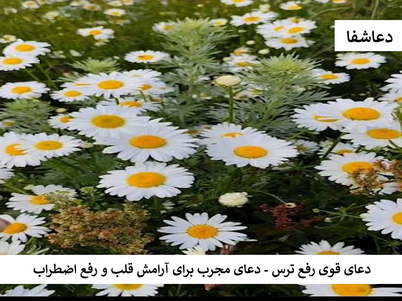دعای قوی رفع ترس - دعای مجرب برای آرامش قلب و رفع اضطراب قلب دعای قوی رفع ترس - دعای مجرب برای آرامش قلب و رفع اضطراب