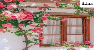 محبت3-310x165 دعای جلب محبت فوری معشوق - دعای جلب محبت شوهر  