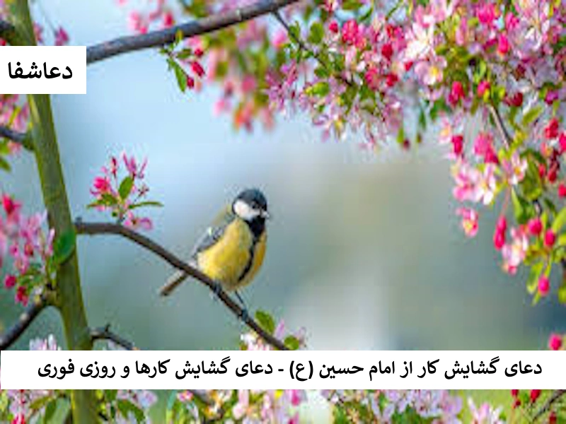 دعای گشایش کار از امام حسین (ع) - دعای گشایش کارها و روزی فوری کار7 دعای گشایش کار از امام حسین (ع) - دعای گشایش کارها و روزی فوری