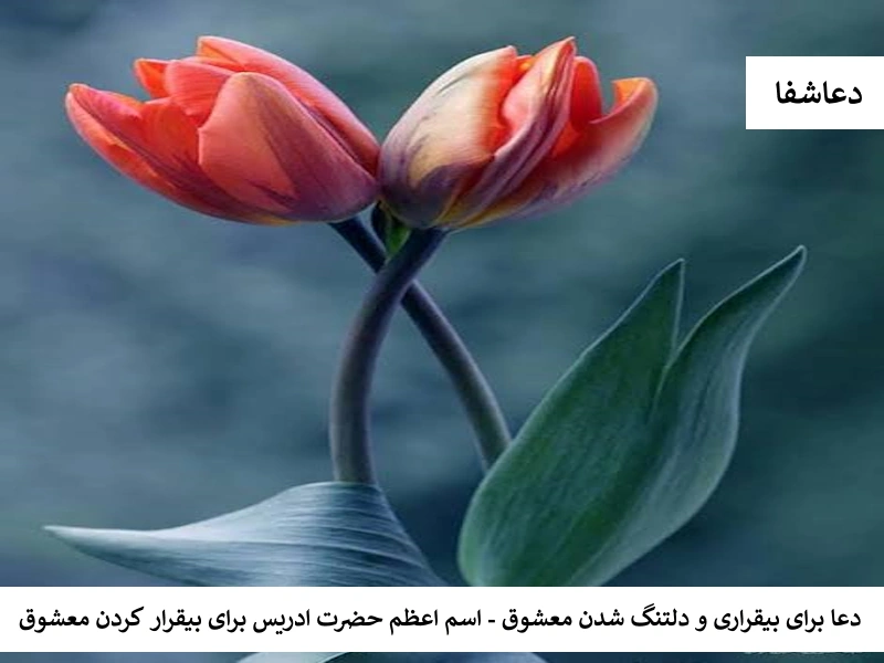 دعا برای بیقراری و دلتنگ شدن معشوق - اسم اعظم حضرت ادریس برای بیقرار کردن معشوق ادریس دعا برای بیقراری و دلتنگ شدن معشوق - اسم اعظم حضرت ادریس برای بیقرار کردن معشوق