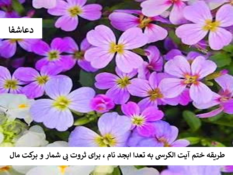 طریقه ختم آیت الکرسی به تعداد ابجد نام، برای ثروت بی شمار و برکت مال ثروت4 طریقه ختم آیت الکرسی به تعداد ابجد نام، برای ثروت بی شمار و برکت مال
