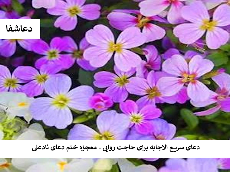 دعای سریع الاجابه برای حاجت روایی - معجزه ختم دعای نادعلی ناد دعای سریع الاجابه برای حاجت روایی - معجزه ختم دعای نادعلی