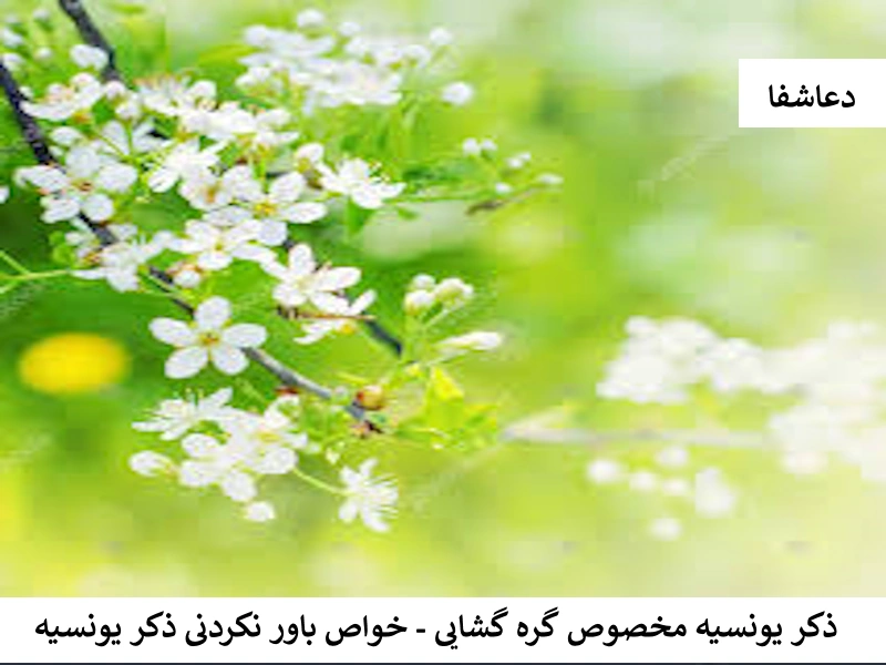 ذکر یونسیه مخصوص گره گشایی - خواص باورنکردنی ذکر یونسیه یونسیه ذکر یونسیه مخصوص گره گشایی - خواص باورنکردنی ذکر یونسیه